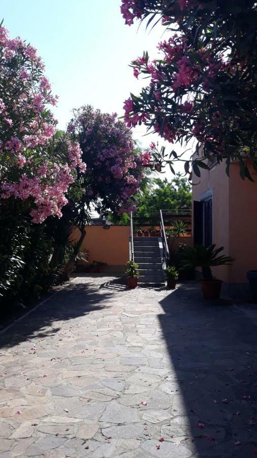 B&B Fiumicino Airport Resort Kültér fotó