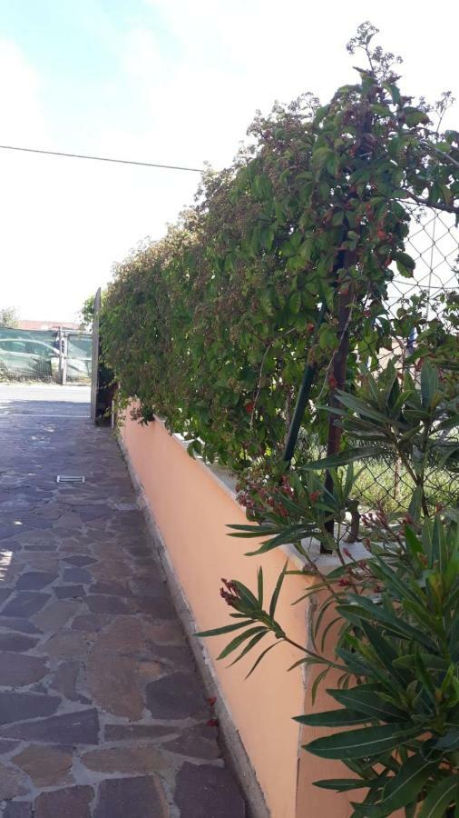 B&B Fiumicino Airport Resort Kültér fotó