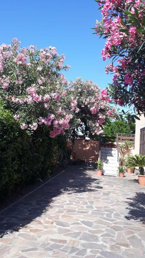 B&B Fiumicino Airport Resort Kültér fotó